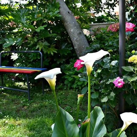 Anita Bed & Breakfast *