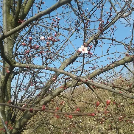 Anita Bed & Breakfast *