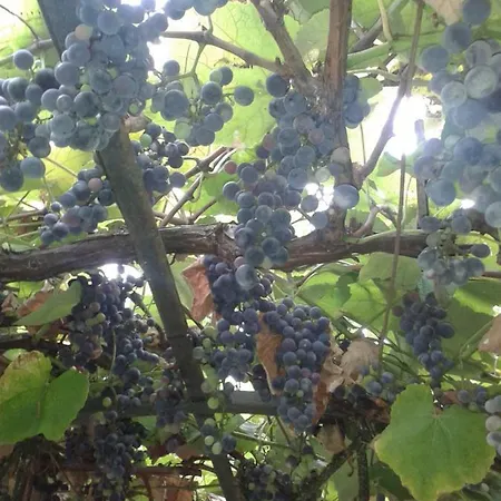 Anita Bed And Breakfast *